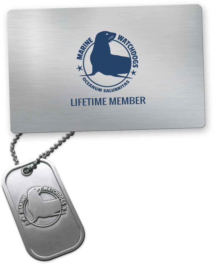 Lifetime Member card