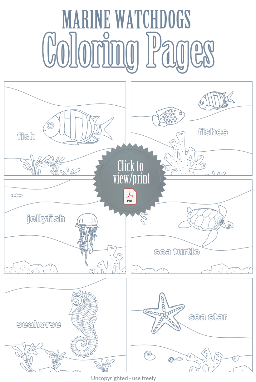 Coloring Book Pages