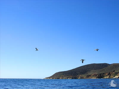 California Central Coast
