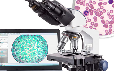 AmScope B120C-E1 40X-2500X LED Biological Binocular Compound Microscope