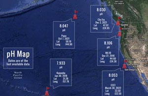 Ocean pH map