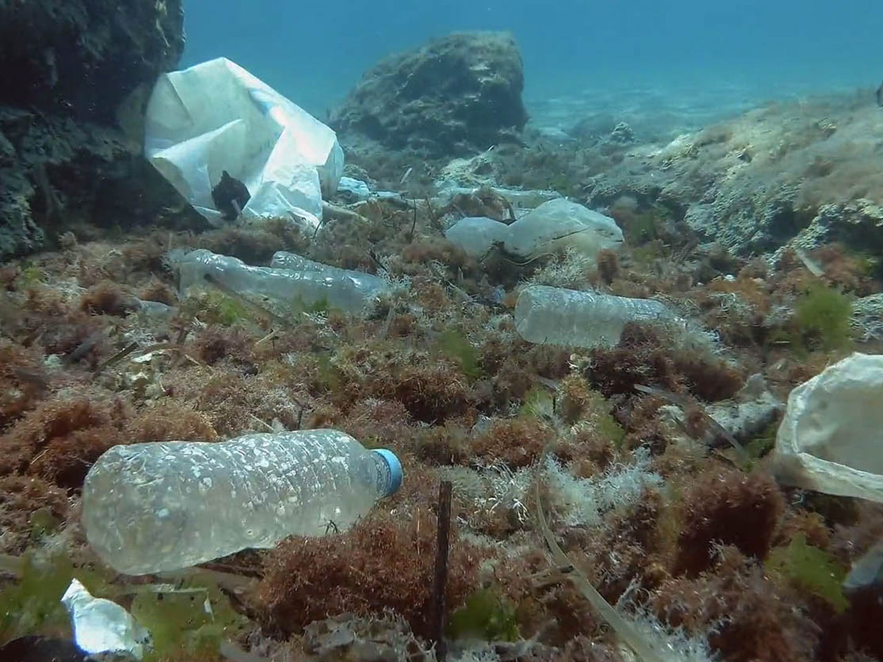 plastic bottle symbol