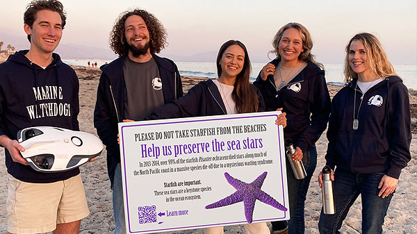 The Sea Star Survey